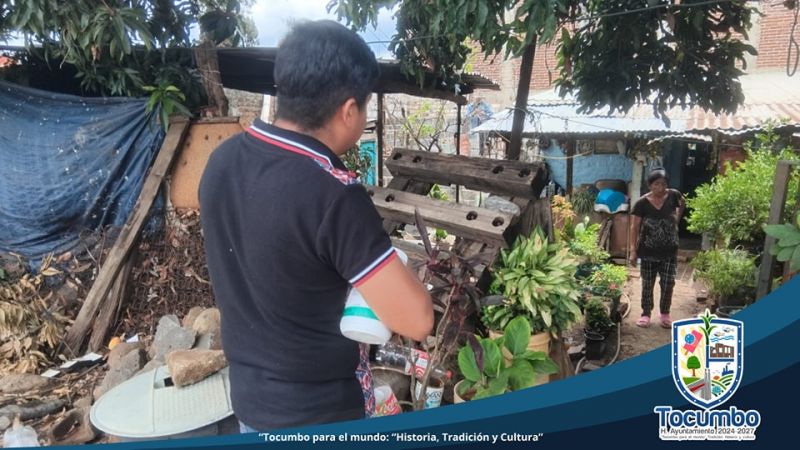 Brigada de Salud, aplica el tercer ciclo de abate en todo el municipio de Tocumbo.